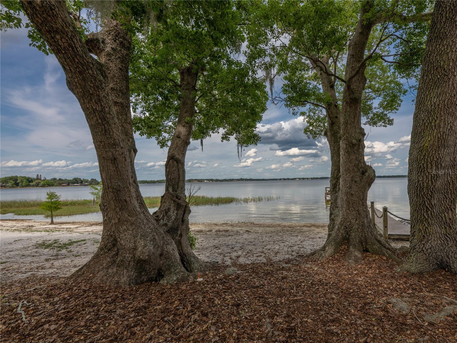1125 KELSO BLVD, WINDERMERE, FL, 34786
