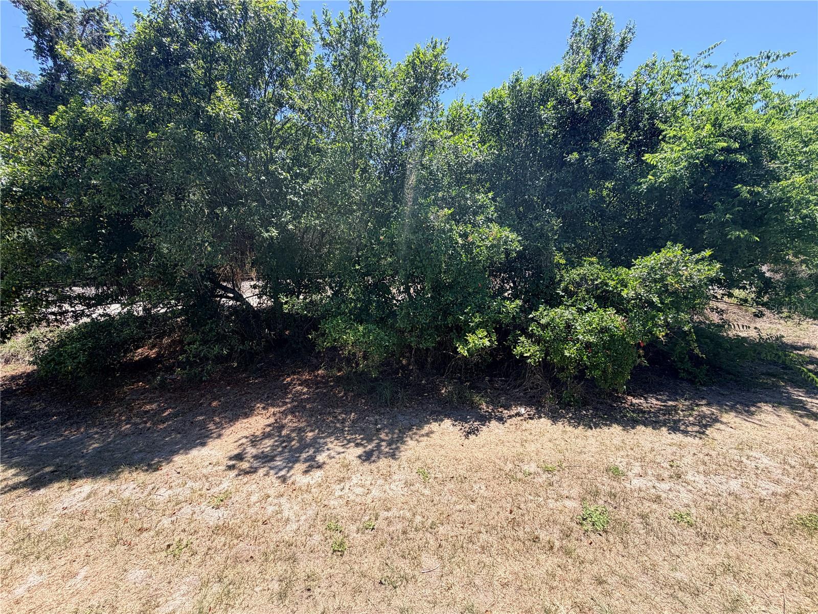 2216 MAYFLOWER AVE, APOPKA, FL, 32703