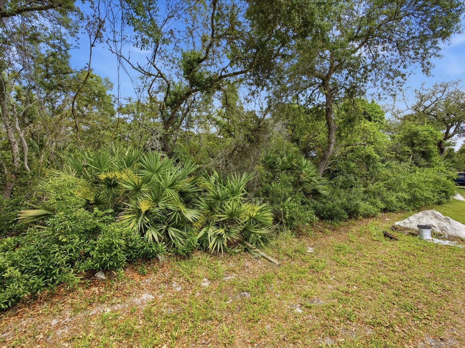 1395 5TH AVE, DELAND, FL, 32724