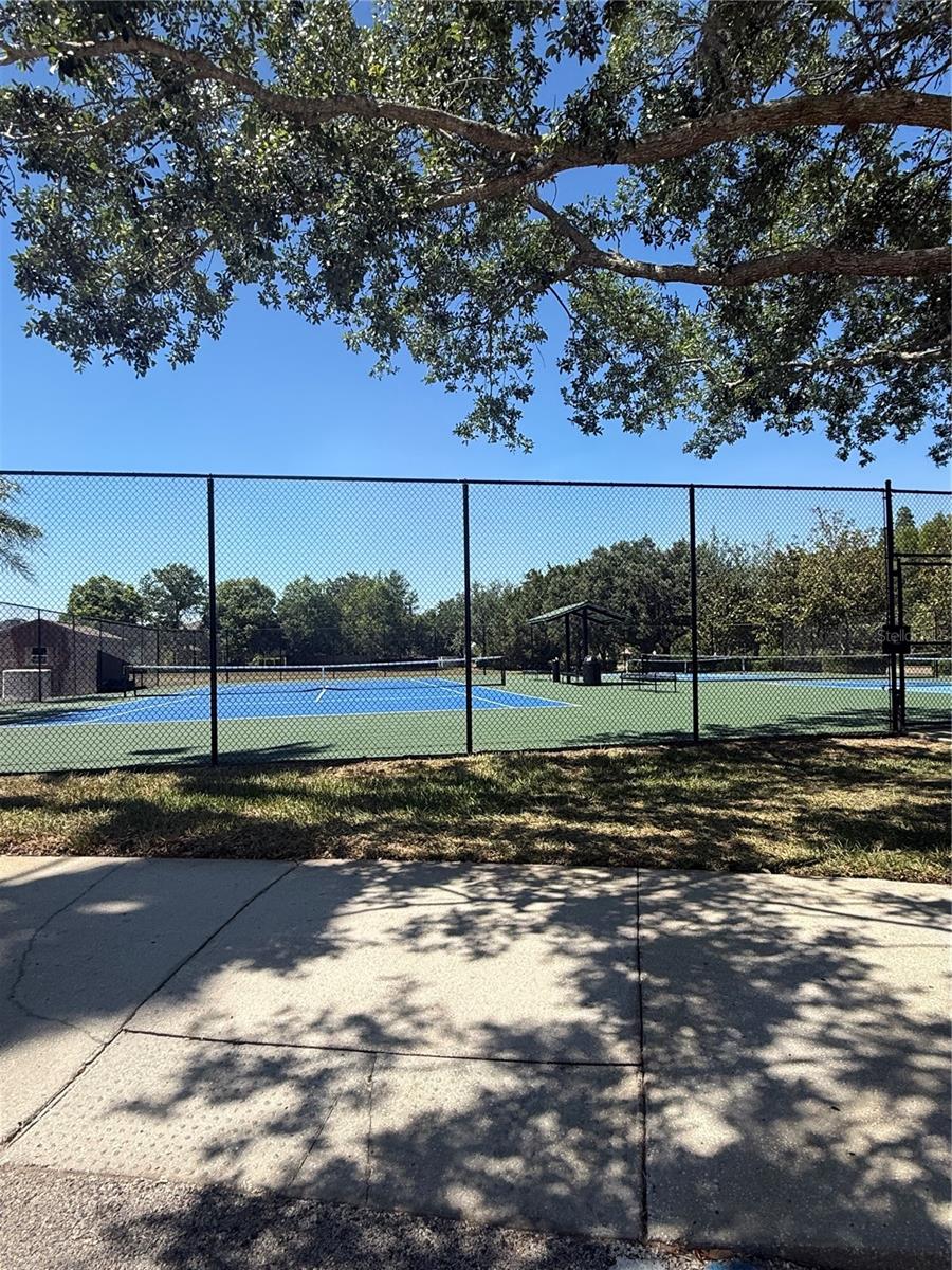 17535 STINCHAR DR, LAND O LAKES, FL, 34638