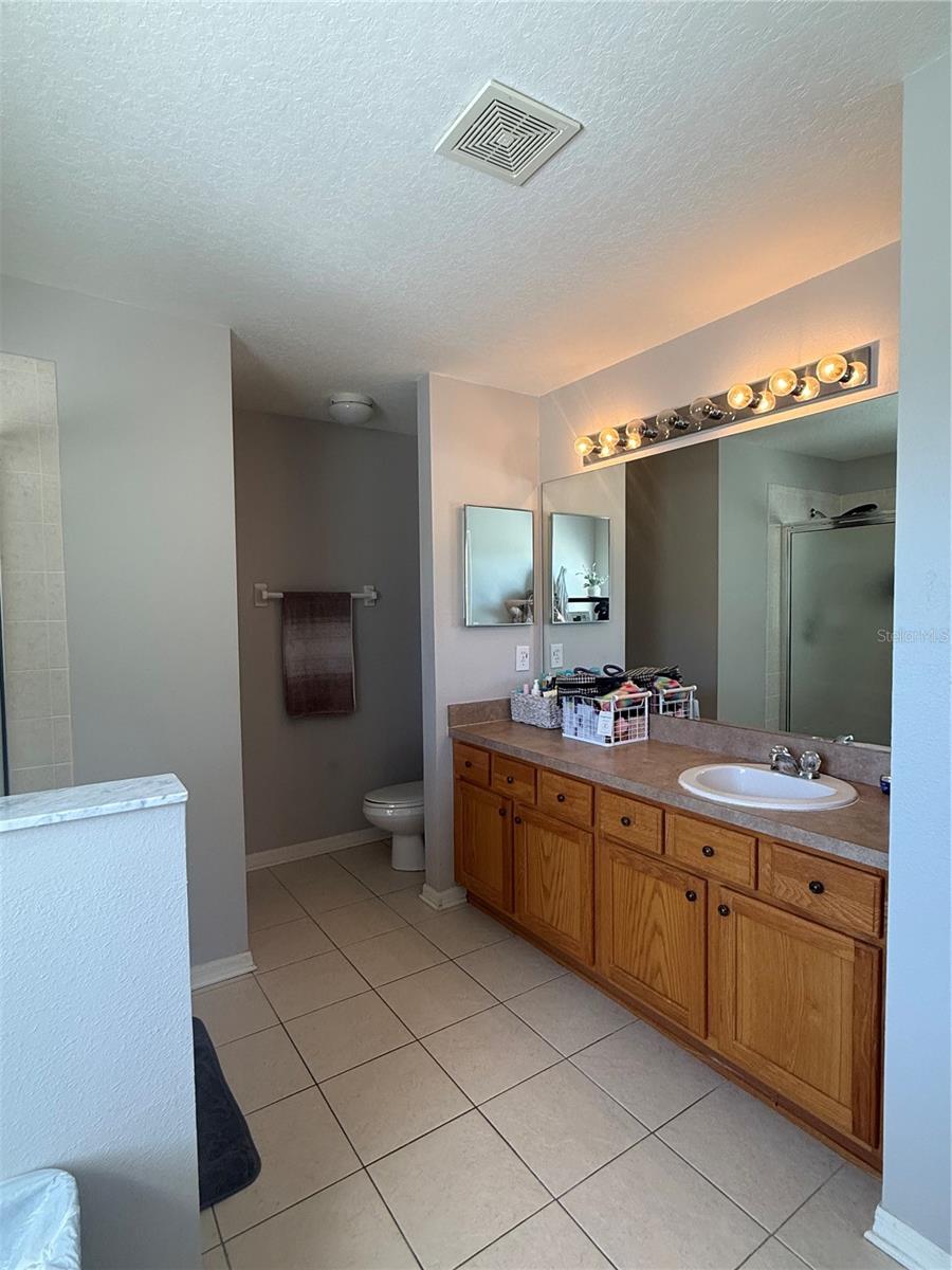17535 STINCHAR DR, LAND O LAKES, FL, 34638