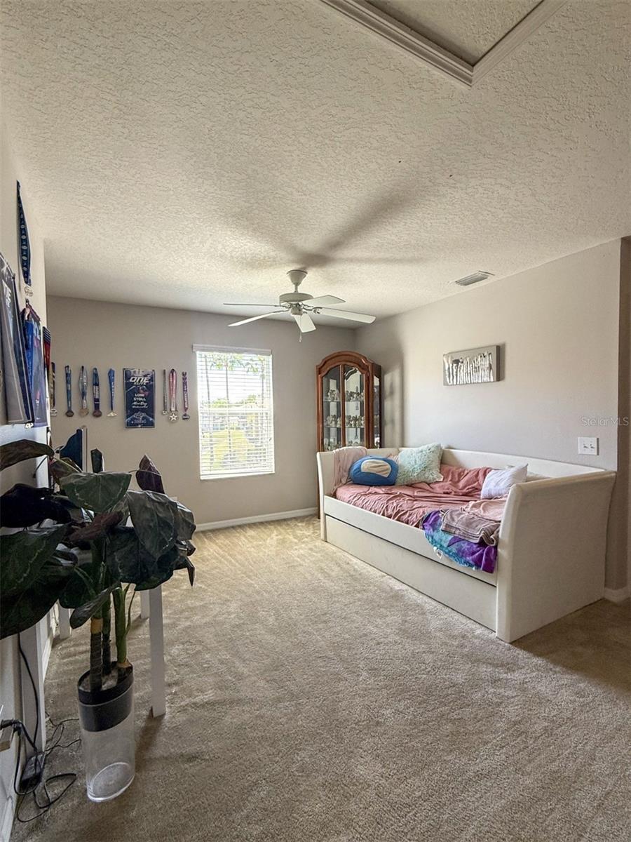 17535 STINCHAR DR, LAND O LAKES, FL, 34638