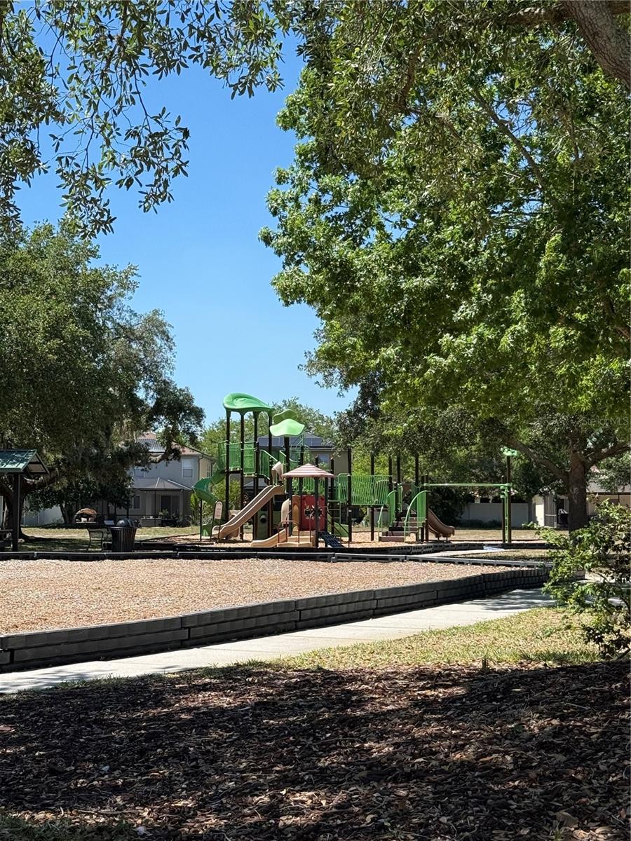 17535 STINCHAR DR, LAND O LAKES, FL, 34638