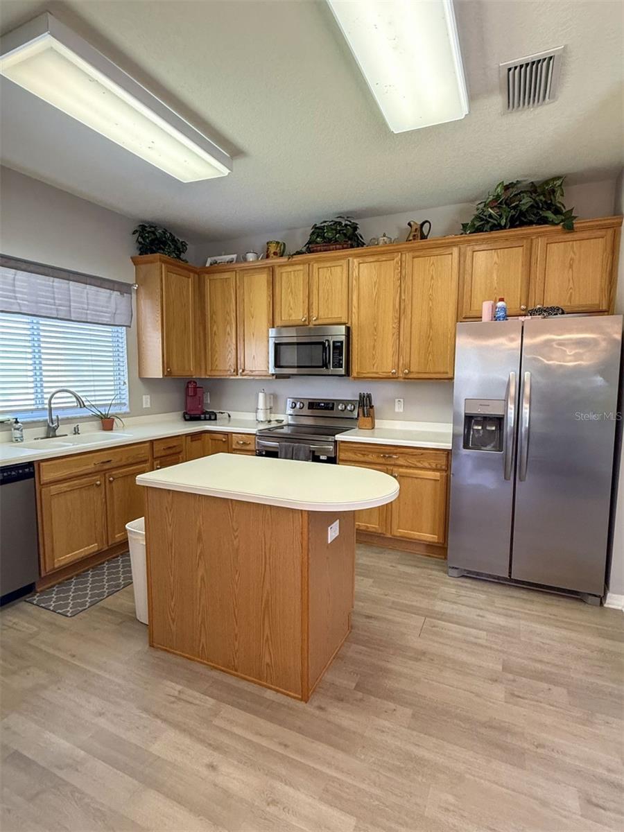 17535 STINCHAR DR, LAND O LAKES, FL, 34638