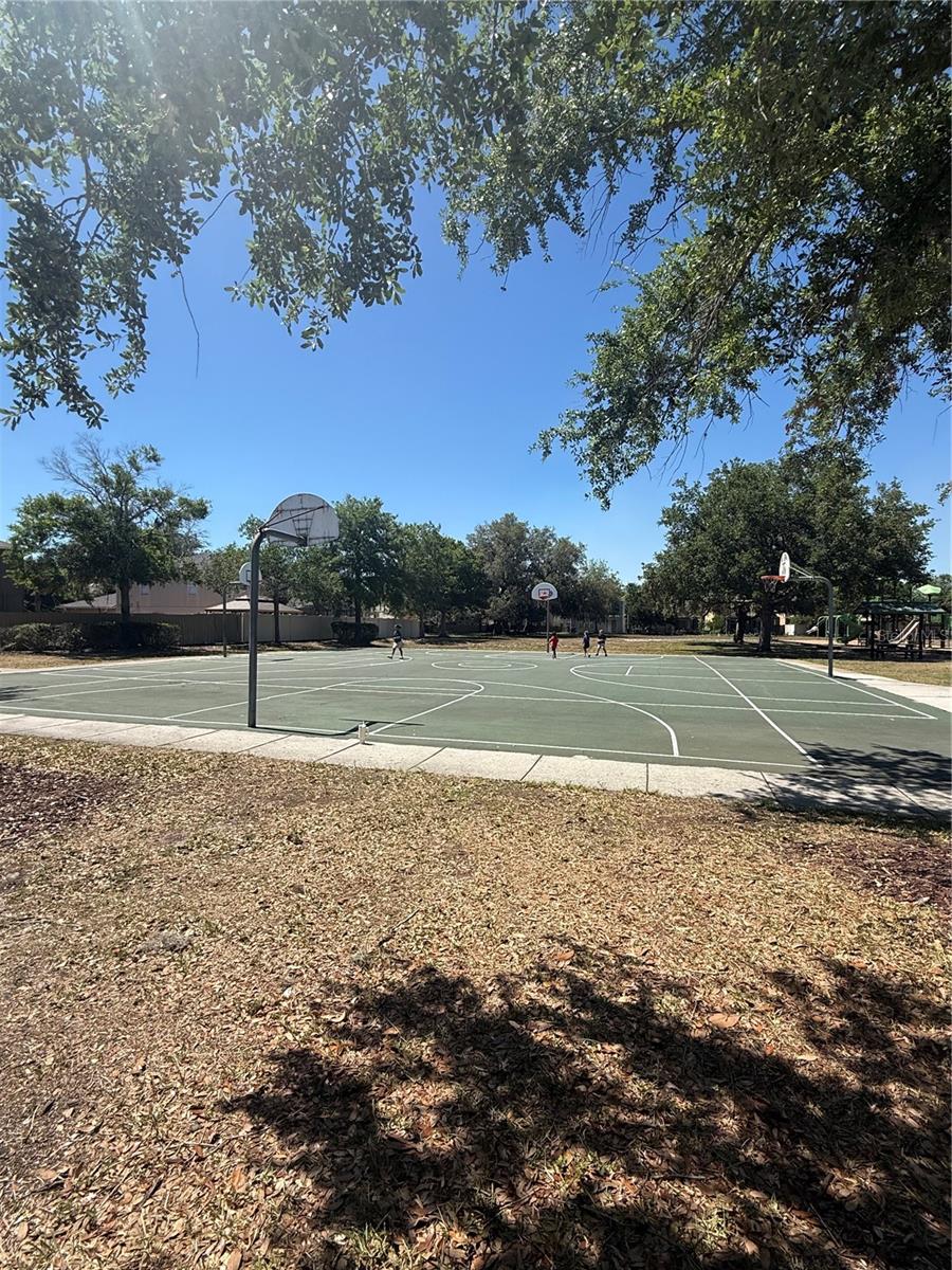 17535 STINCHAR DR, LAND O LAKES, FL, 34638