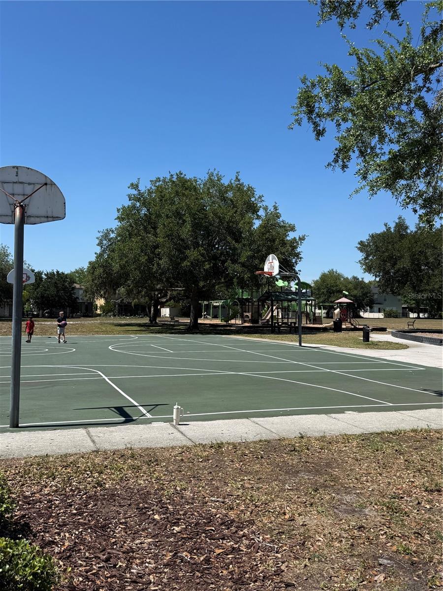 17535 STINCHAR DR, LAND O LAKES, FL, 34638
