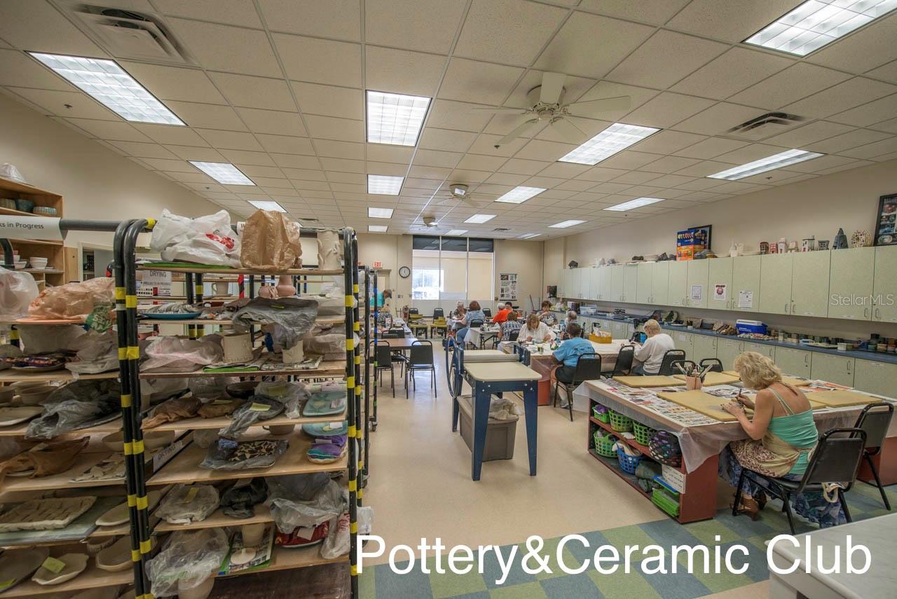 1209 LITCHFIELD DR #42, SUN CITY CENTER, FL, 33573