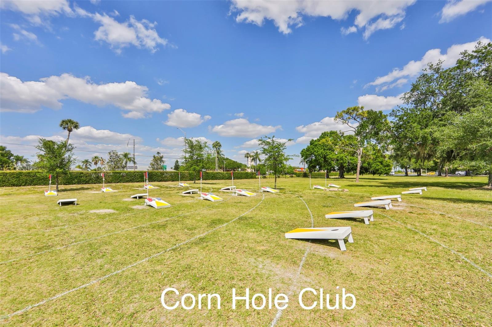 1209 LITCHFIELD DR #42, SUN CITY CENTER, FL, 33573