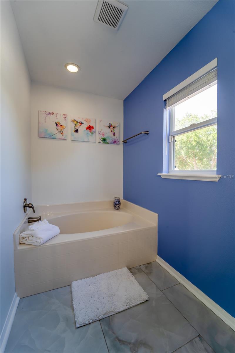 31704 SHIN CT, WESLEY CHAPEL, FL, 33545