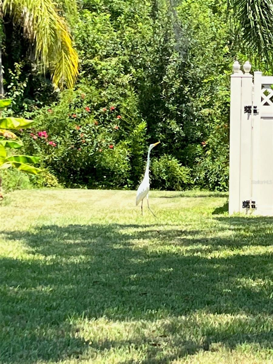 3705 GRAYTON DR, NEW PORT RICHEY, FL, 34652