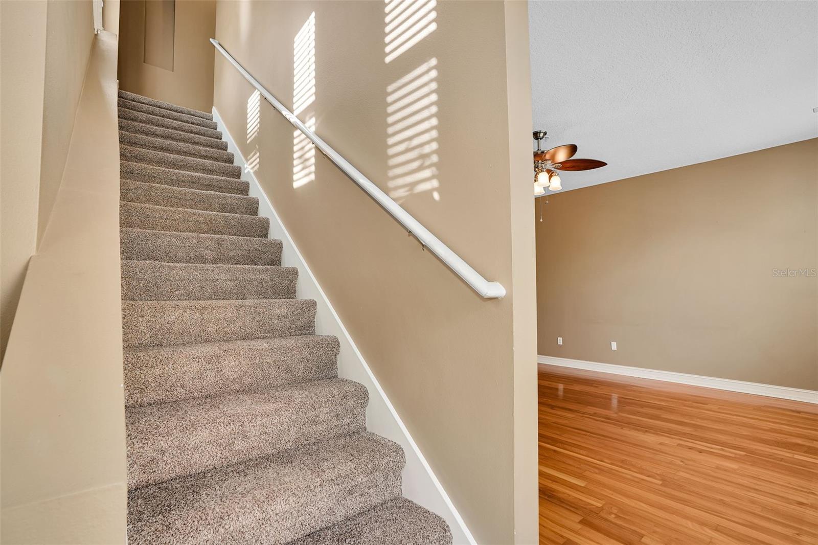 3102 TOSCANA CIR, TAMPA, FL, 33611