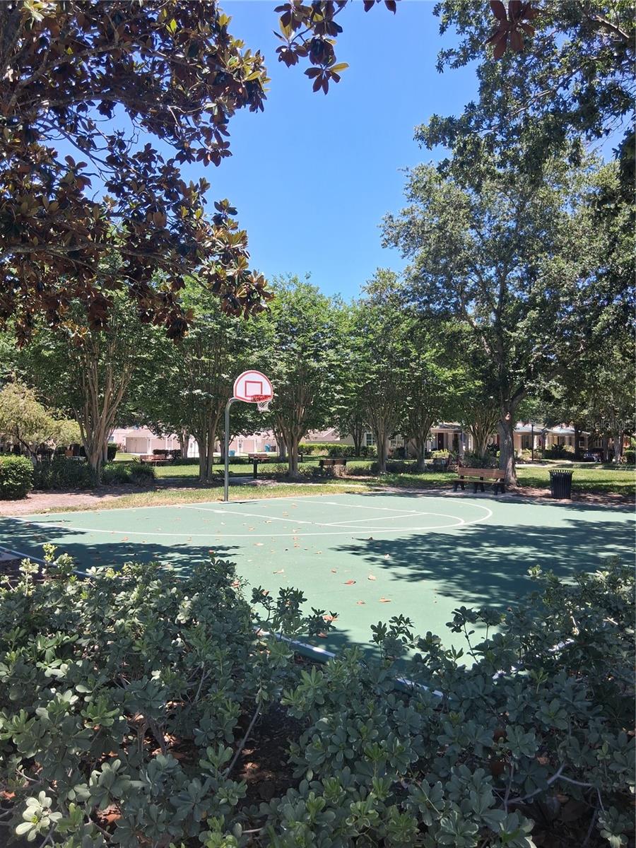 10133 RANDOLPHS ORCHARD LN, ORLANDO, FL, 32827
