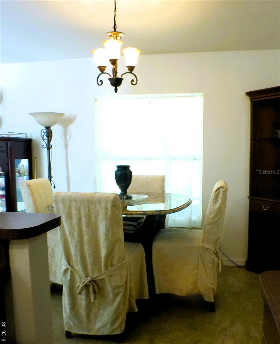 10 SEQUOIA DRIVE TRCE, OCKLAWAHA, FL, 32179