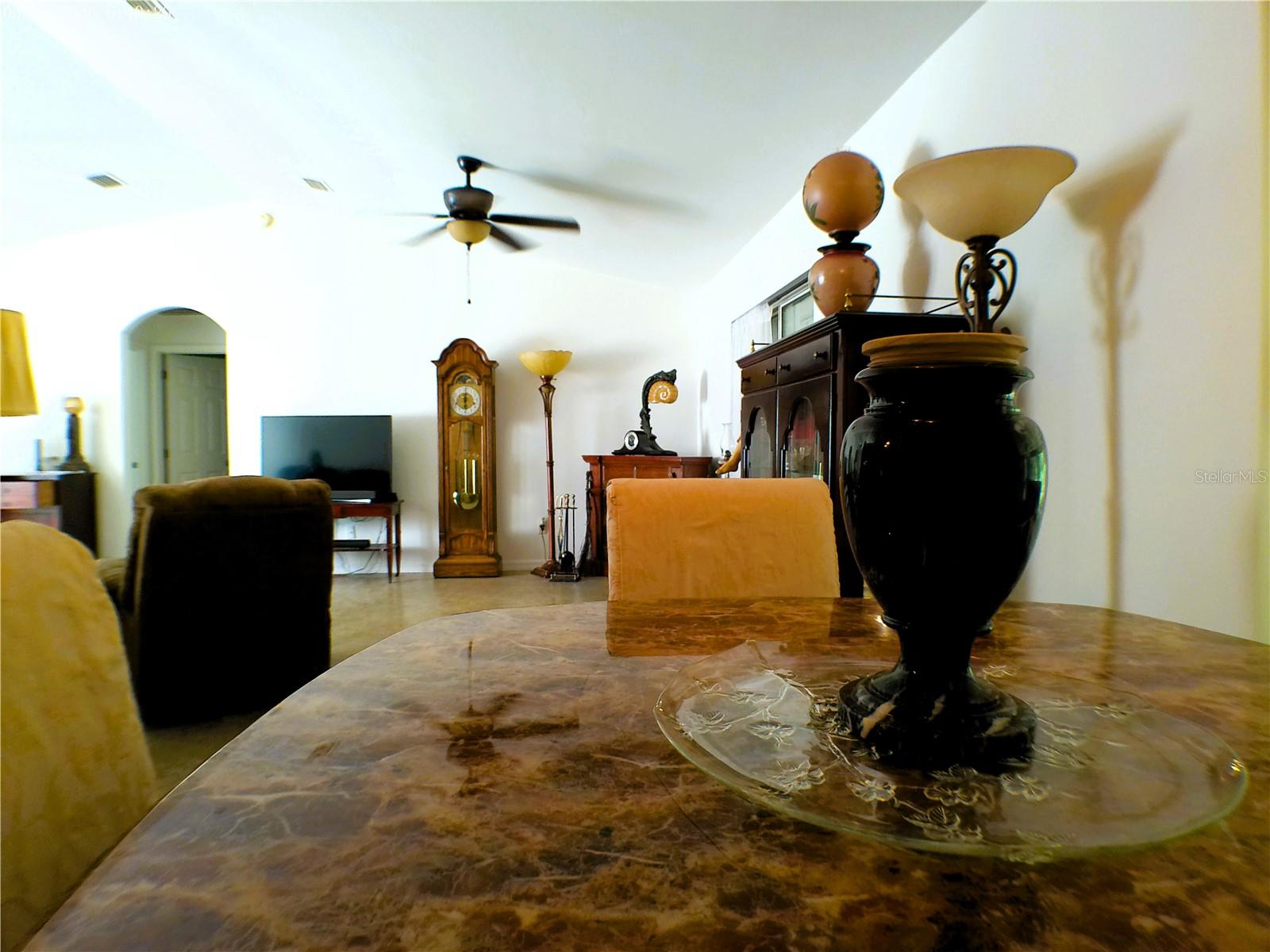 10 SEQUOIA DRIVE TRCE, OCKLAWAHA, FL, 32179