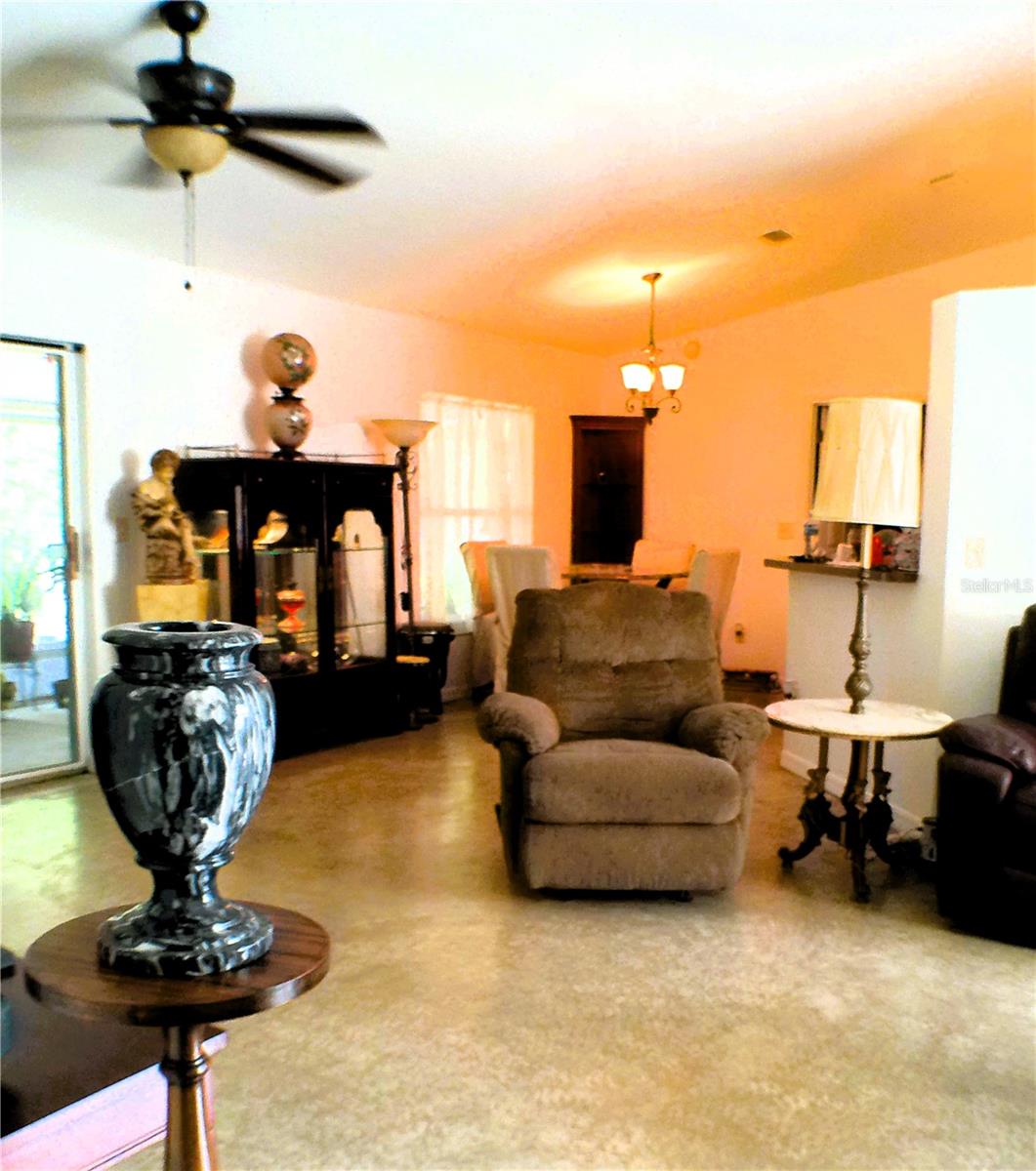 10 SEQUOIA DRIVE TRCE, OCKLAWAHA, FL, 32179