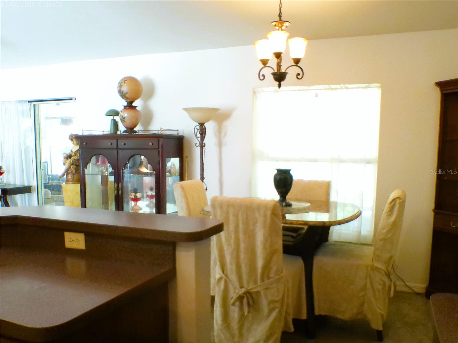 10 SEQUOIA DRIVE TRCE, OCKLAWAHA, FL, 32179