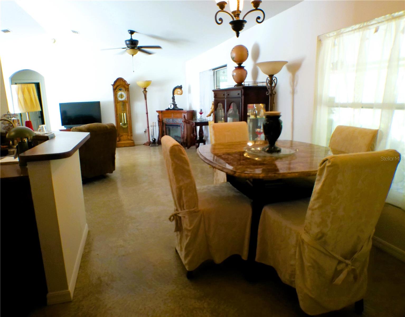 10 SEQUOIA DRIVE TRCE, OCKLAWAHA, FL, 32179