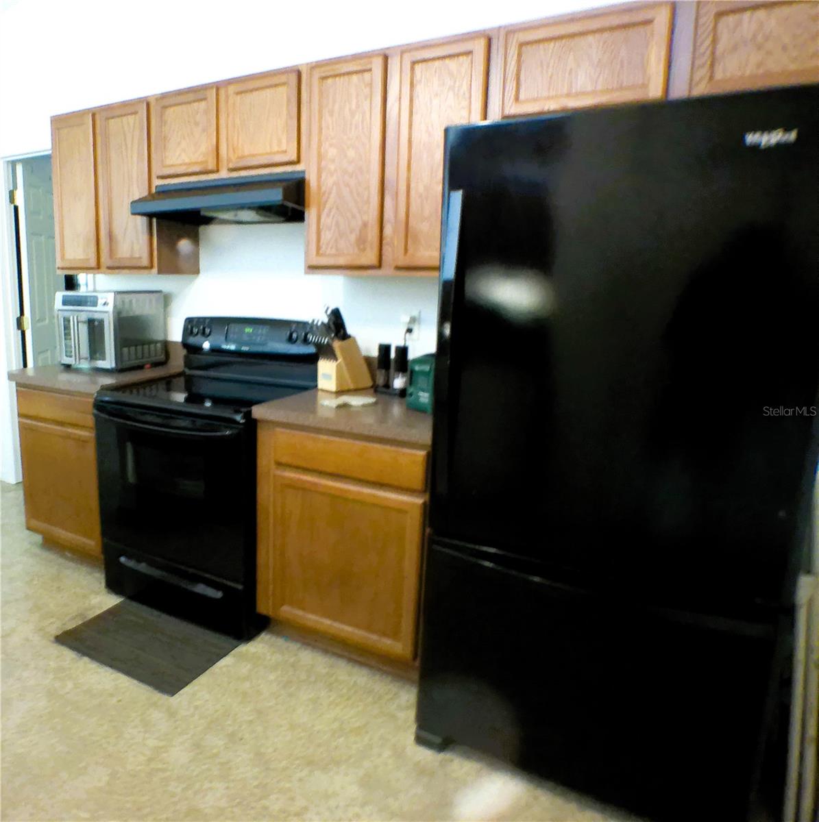 10 SEQUOIA DRIVE TRCE, OCKLAWAHA, FL, 32179