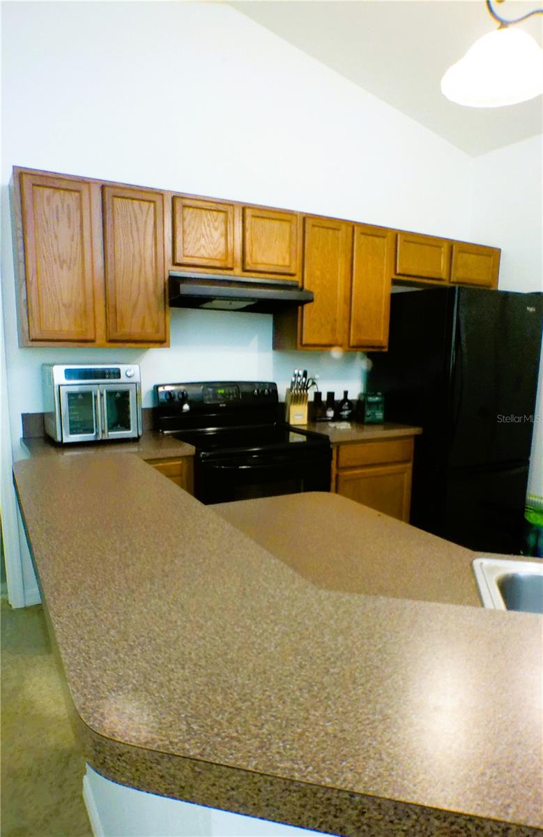 10 SEQUOIA DRIVE TRCE, OCKLAWAHA, FL, 32179