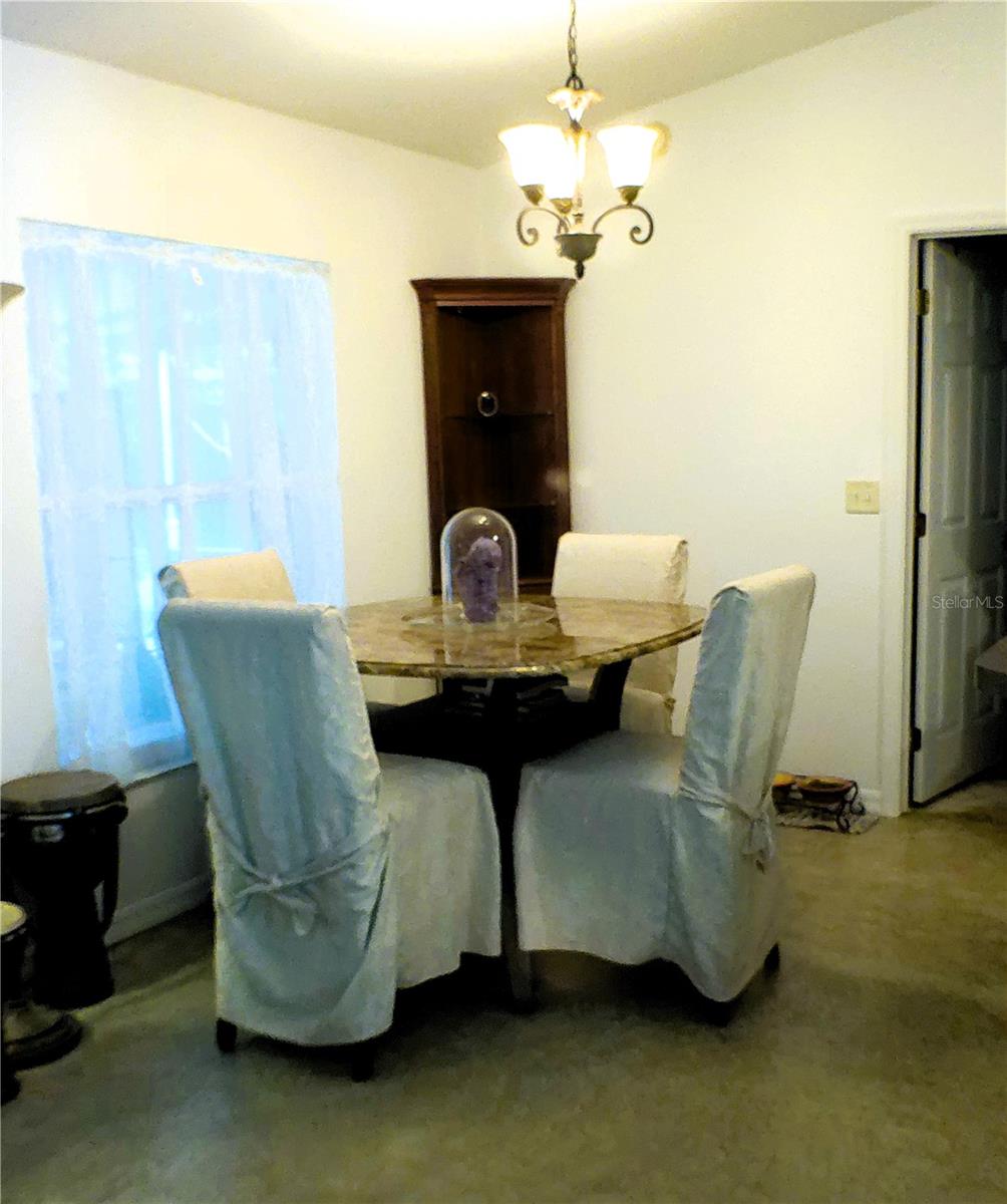 10 SEQUOIA DRIVE TRCE, OCKLAWAHA, FL, 32179