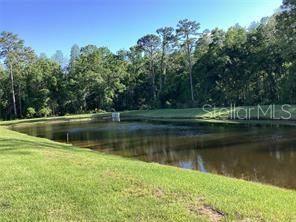 17522 NECTAR FLUME DR, LAND O LAKES, FL, 34638