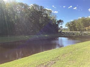 17522 NECTAR FLUME DR, LAND O LAKES, FL, 34638