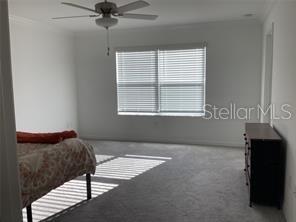 17522 NECTAR FLUME DR, LAND O LAKES, FL, 34638