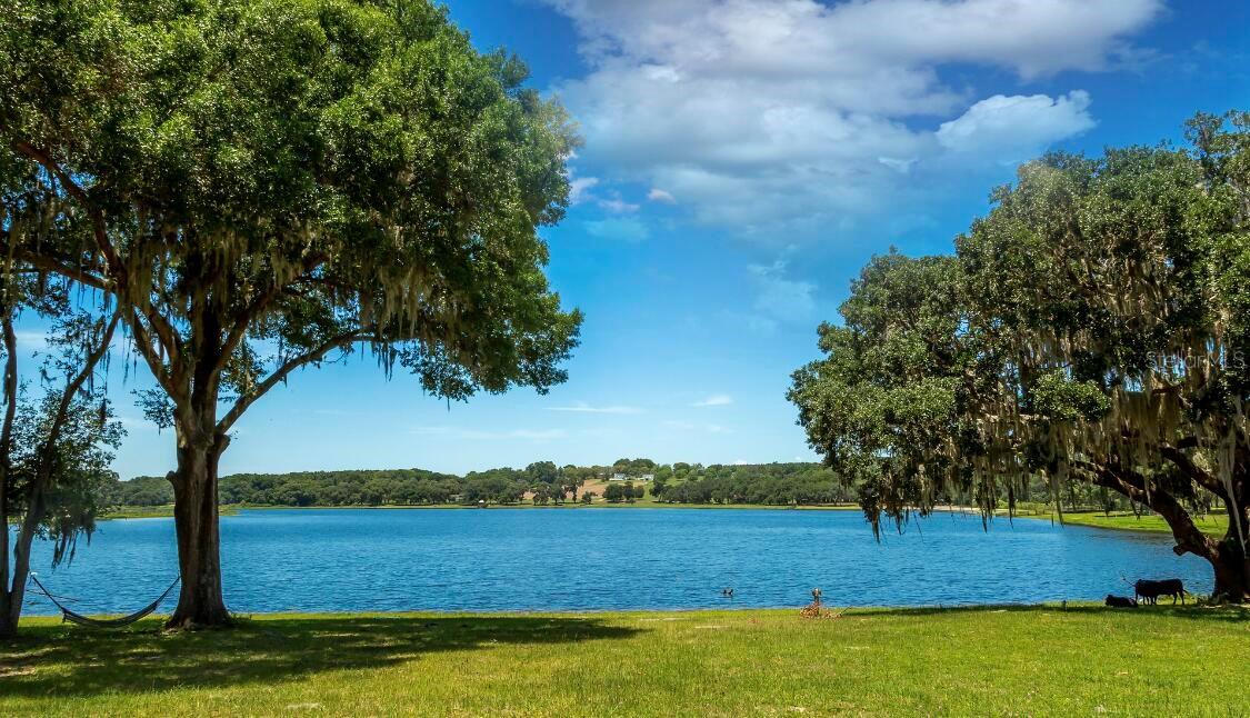 34710 CLAYTON RD #14, DADE CITY, FL, 33523