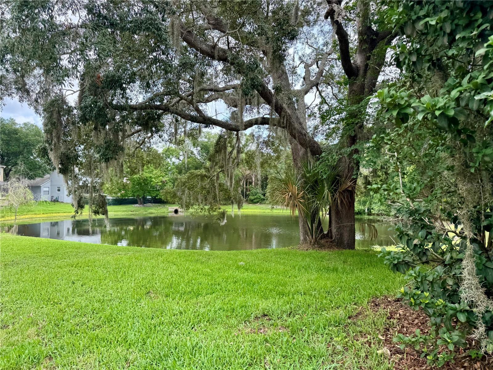 1043 BUCKSAW PL, LONGWOOD, FL, 32750