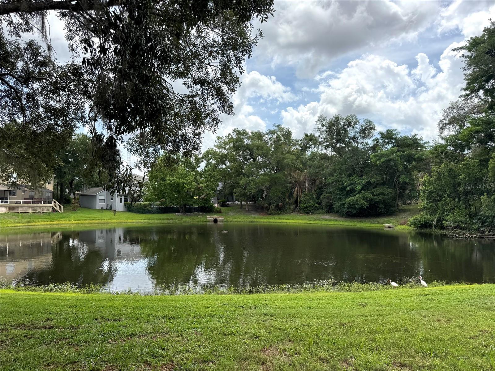 1043 BUCKSAW PL, LONGWOOD, FL, 32750