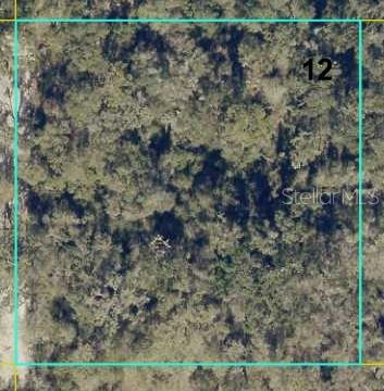 12146 SW 41ST WAY, WEBSTER, FL, 33597