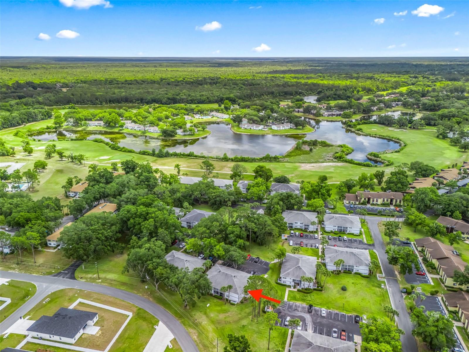 SILVER DOWNS, OCALA, FL, 34472