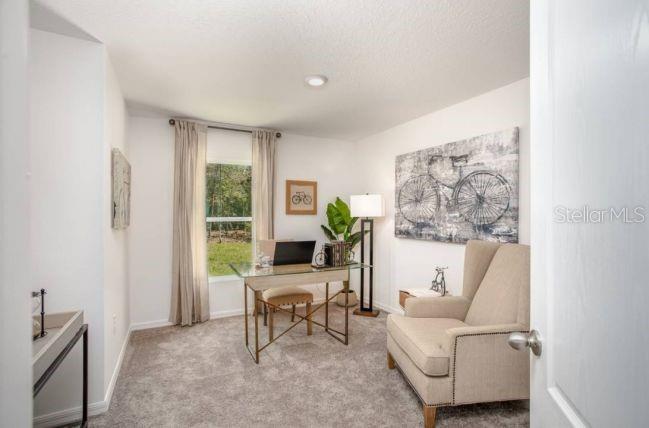 3546 E DIANA LN, INVERNESS, FL, 34453