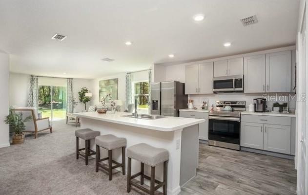 3546 E DIANA LN, INVERNESS, FL, 34453