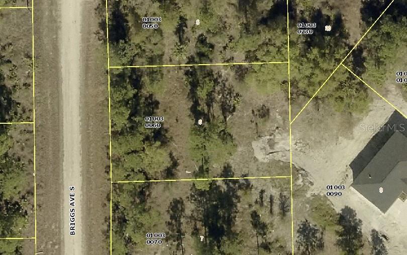 315 BRIGGS AVE S, LEHIGH ACRES, FL, 33974