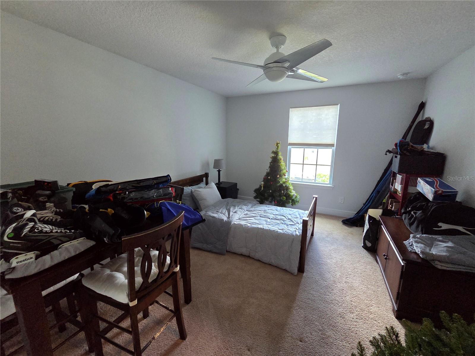 3013 SAN LEO DR, ORLANDO, FL, 32820