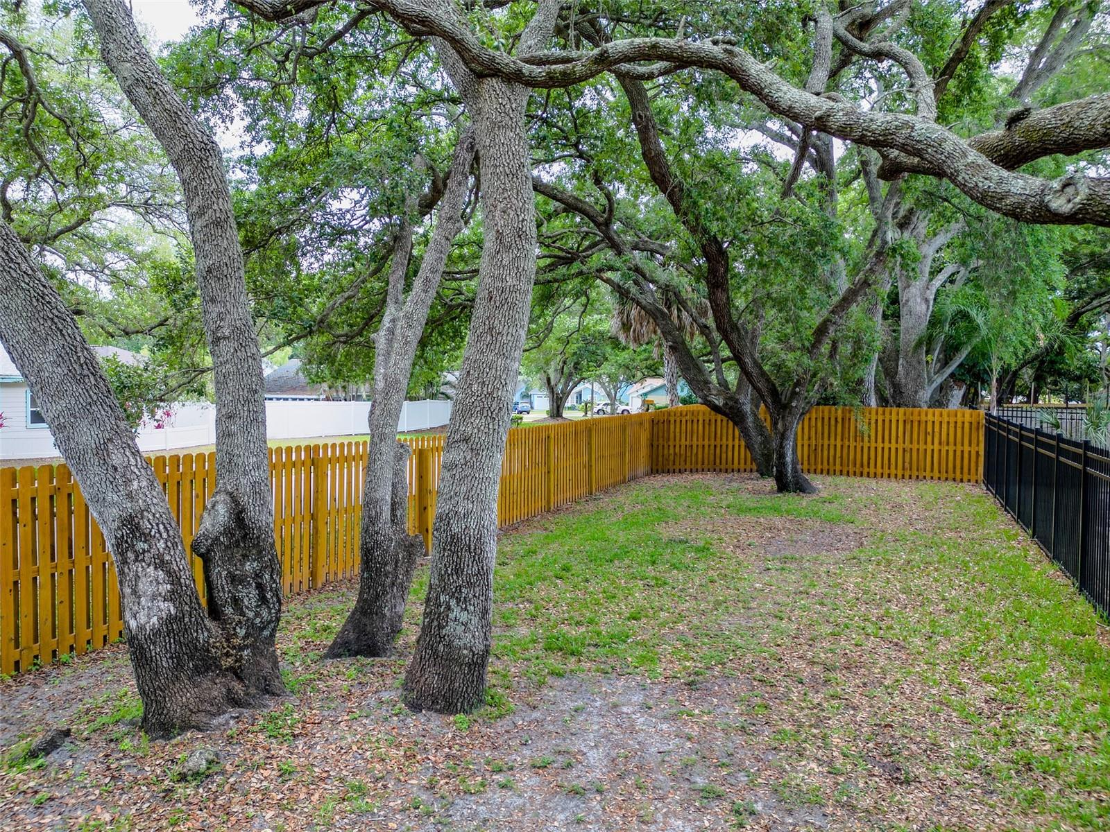 890 JACKSON CT, PALM HARBOR, FL, 34683
