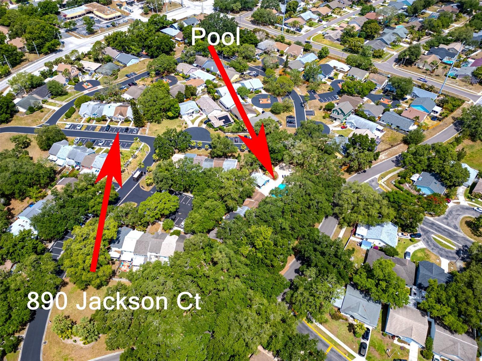 890 JACKSON CT, PALM HARBOR, FL, 34683