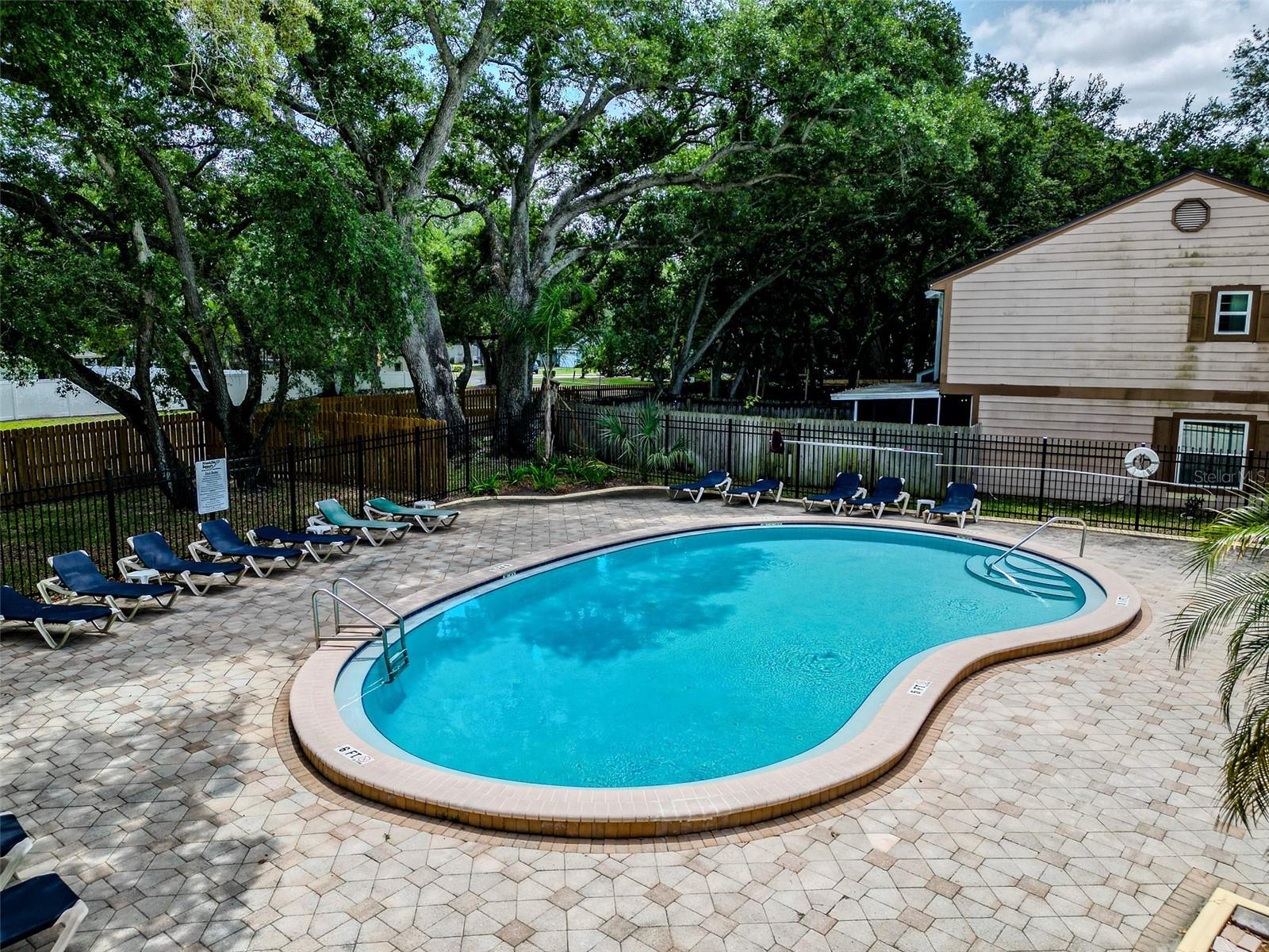 890 JACKSON CT, PALM HARBOR, FL, 34683