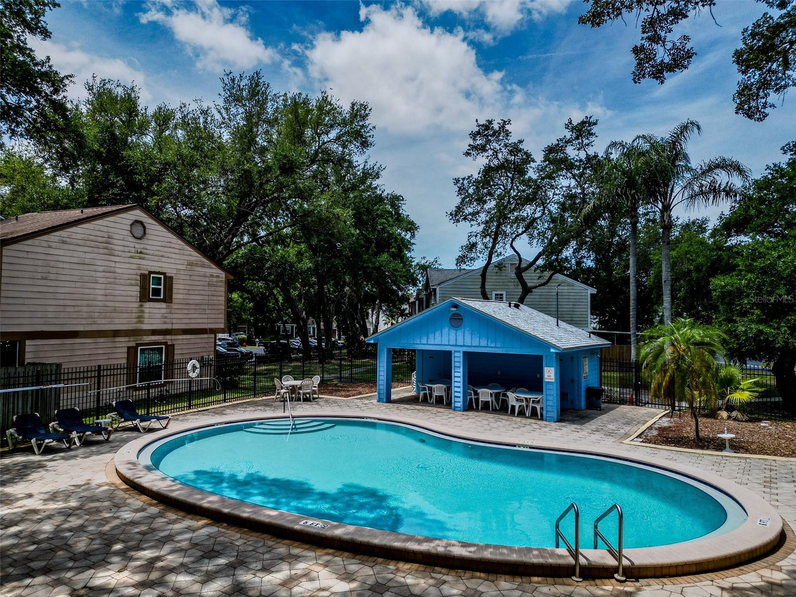 890 JACKSON CT, PALM HARBOR, FL, 34683