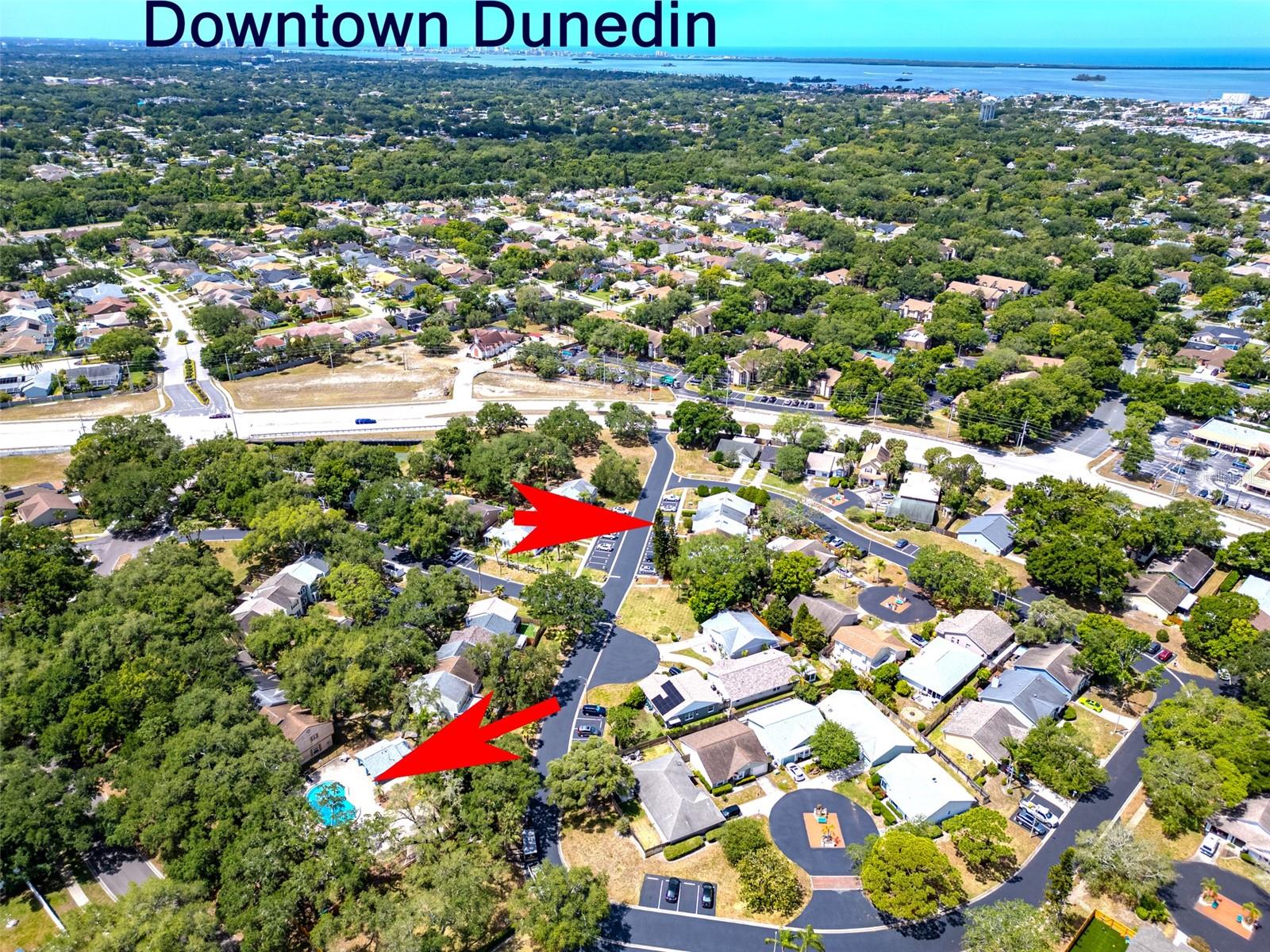 890 JACKSON CT, PALM HARBOR, FL, 34683