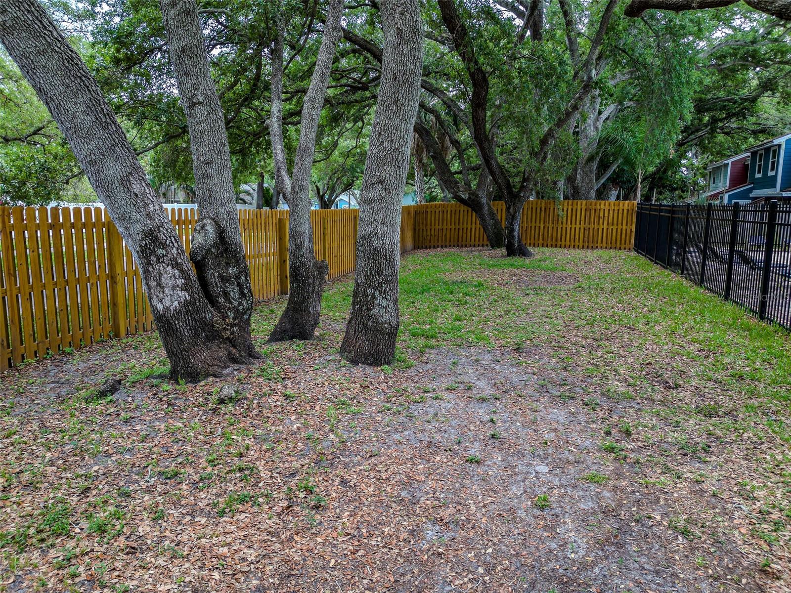 890 JACKSON CT, PALM HARBOR, FL, 34683