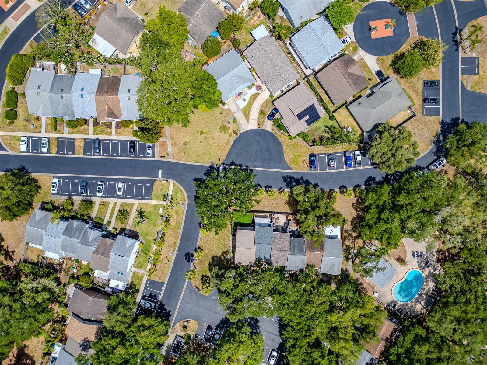 890 JACKSON CT, PALM HARBOR, FL, 34683