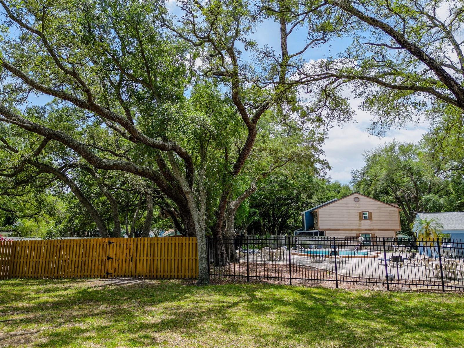 890 JACKSON CT, PALM HARBOR, FL, 34683