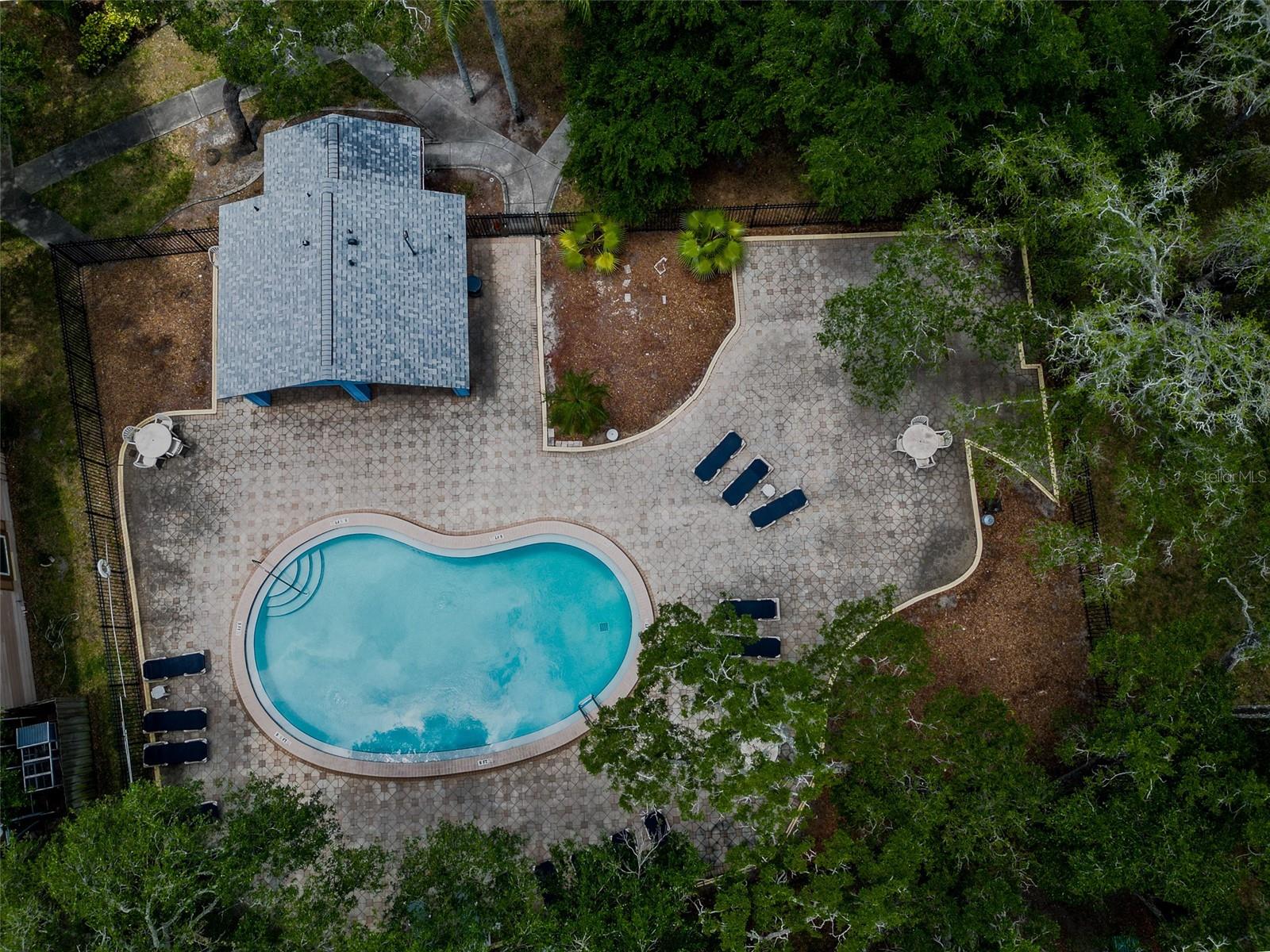 890 JACKSON CT, PALM HARBOR, FL, 34683