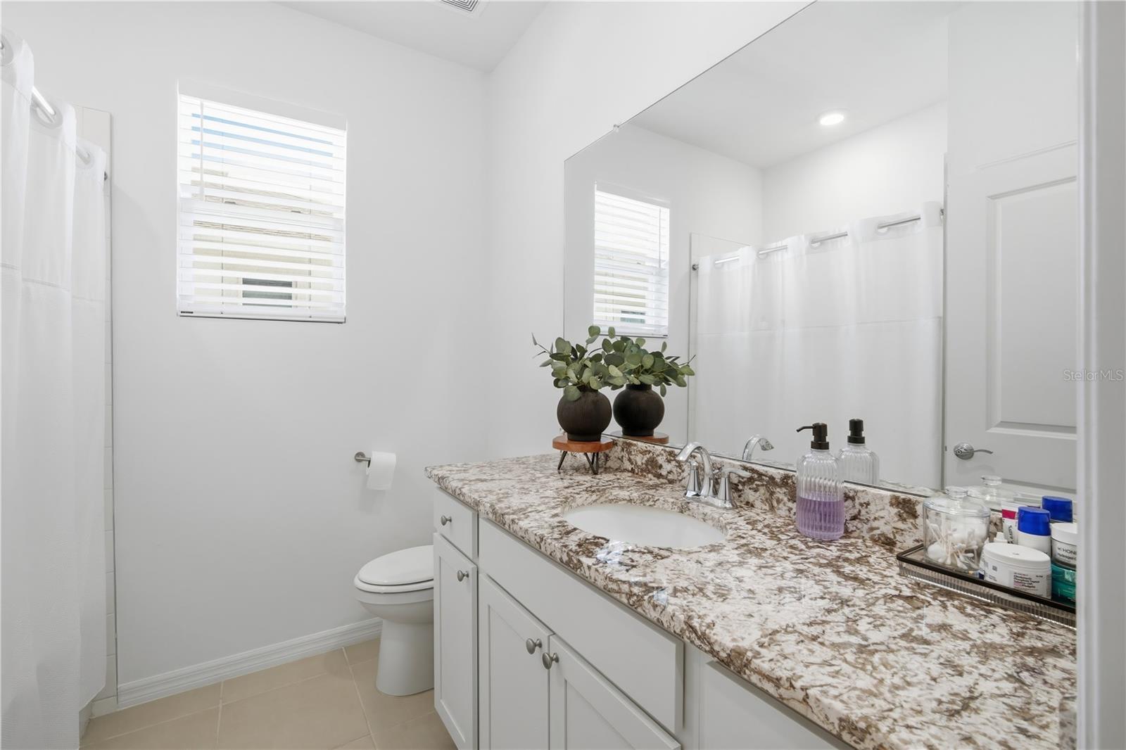 32305 LEXINGTON ST, WESLEY CHAPEL, FL, 33543