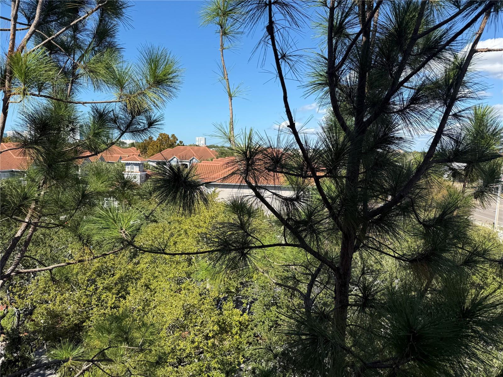 1216 S MISSOURI AVE #406, CLEARWATER, FL, 33756