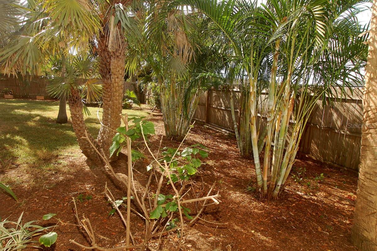 468 LIMEWOOD AVE, DUNEDIN, FL, 34698
