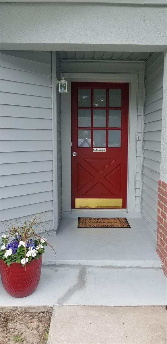 2334 CITRUS HILL RD, PALM HARBOR, FL, 34683