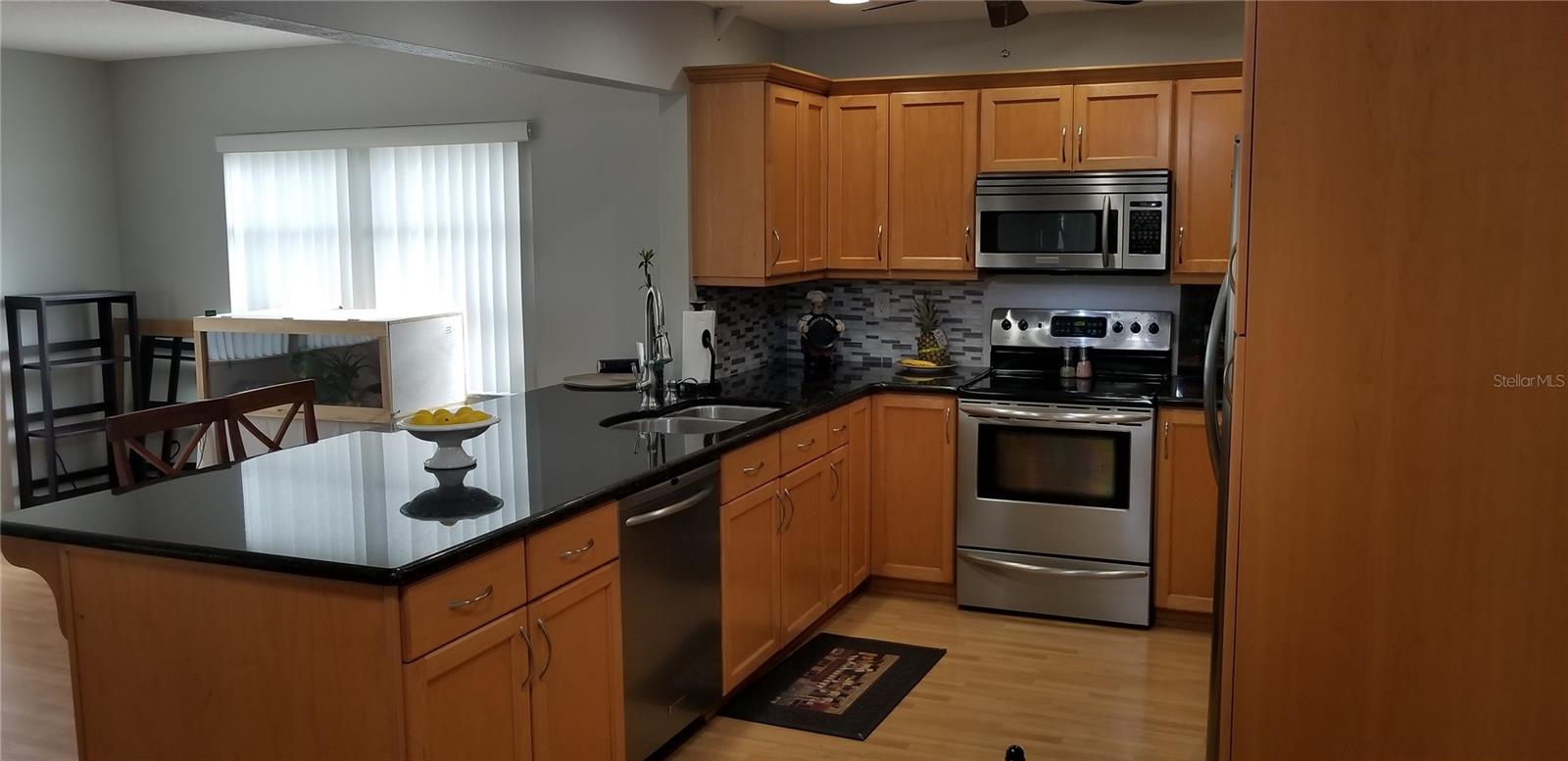 2334 CITRUS HILL RD, PALM HARBOR, FL, 34683